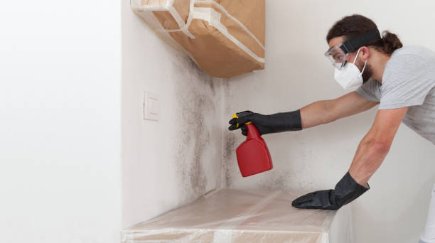 Professional Bathroom Mold Removal technician working in Millington, NJ